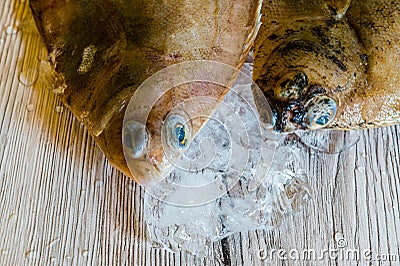 Fresh plaice Fish from the market Stock Photo