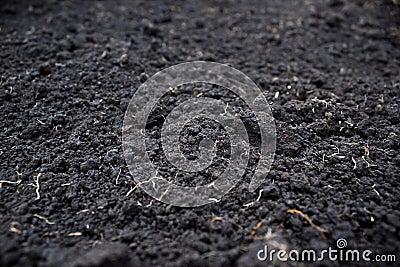 Fresh plowed earth Stock Photo