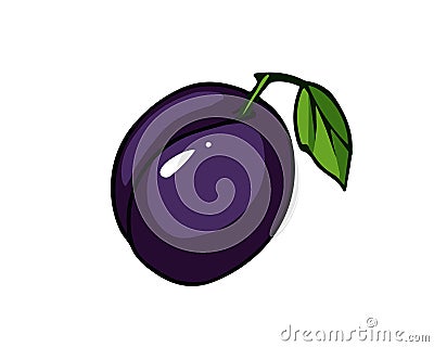 Fresh plum. Cartoon vector icon isolated on white Vector Illustration