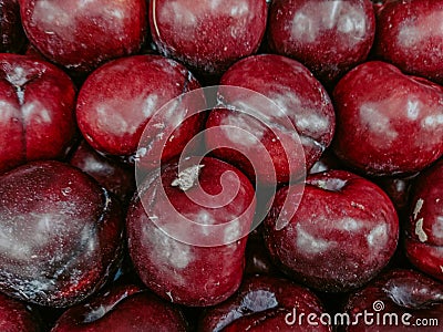 Fresh Plum fruits best for detox Stock Photo