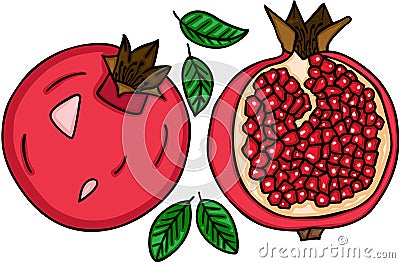 Fresh pomegranate fruit Vector Illustration