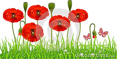 Fresh Poppy lawn Vector Illustration