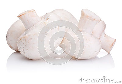 Fresh Portabello Mushroom champignon isolated on white Stock Photo