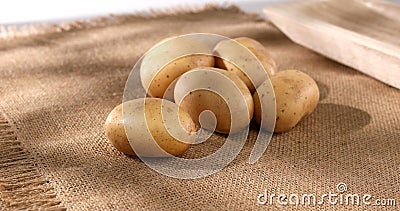 fresh potatoes on burlap. vegetables on the table. rustic still life. farm products. Stock Photo