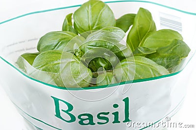 Potted basil closeup Stock Photo