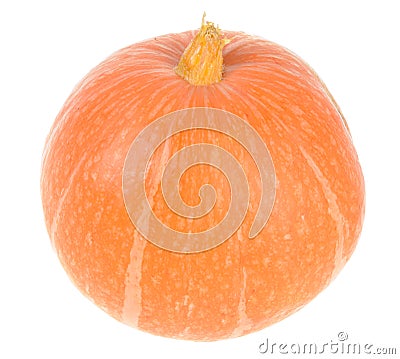 Fresh pumpkin Stock Photo