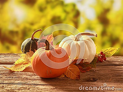 Fresh pumpkin and squash on a garden table Stock Photo