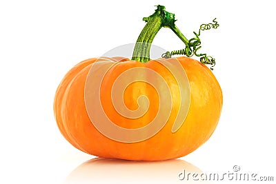 Fresh pumpkin Stock Photo