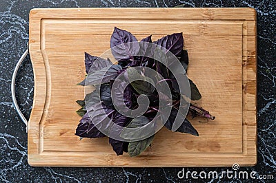 Fresh purple bunch of basil leafs on the wooden board Stock Photo