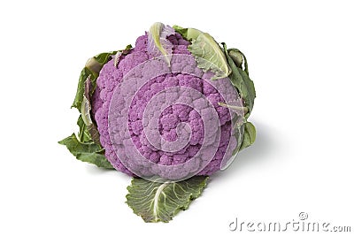 Fresh purple cauliflower Stock Photo