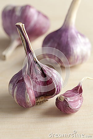 Fresh purple garlic Stock Photo