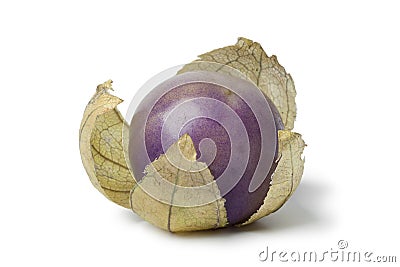 Fresh purple tomatillo Stock Photo