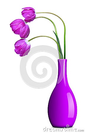 Fresh purple tulips in vase Stock Photo