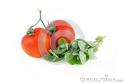Fresh purslane Portulaca oleracea and cherry tomatoes, edible weeds isolated on white background Stock Photo