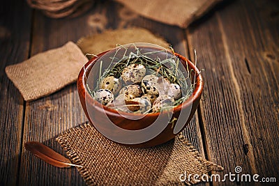 Fresh quail egg in bowl Stock Photo