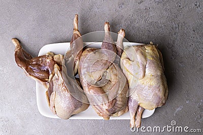 some plucked quails ready for cooking on a white background Stock Photo