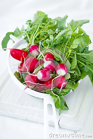 Fresh radish Stock Photo