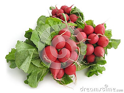 Fresh radish Stock Photo