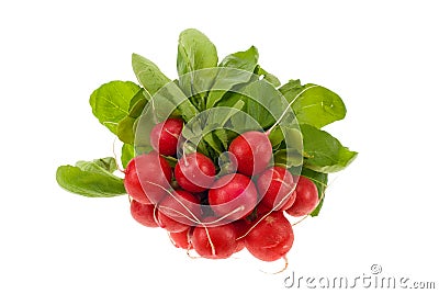 Fresh radish Stock Photo