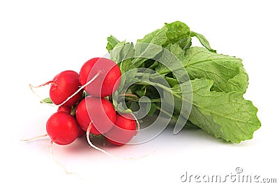 Fresh Radish Stock Photo