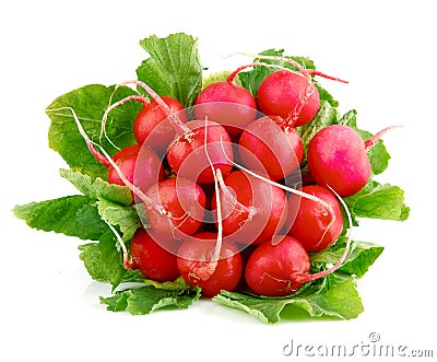 Fresh radish fruits with green leaves Stock Photo