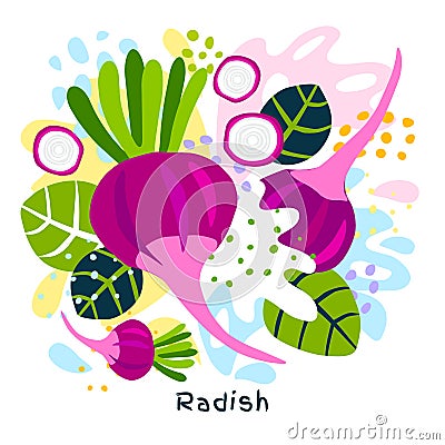 Fresh radish vegetable juice splash organic food on abstract coloful splatter splash background vector hand drawn illustrations Vector Illustration