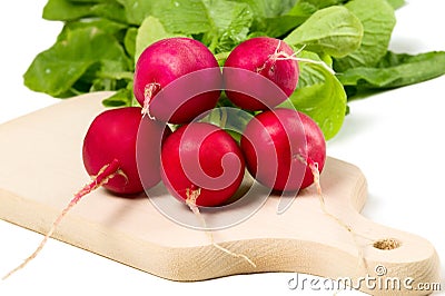 Fresh radish Stock Photo