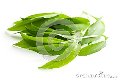 Fresh ramsons leaves. Stock Photo