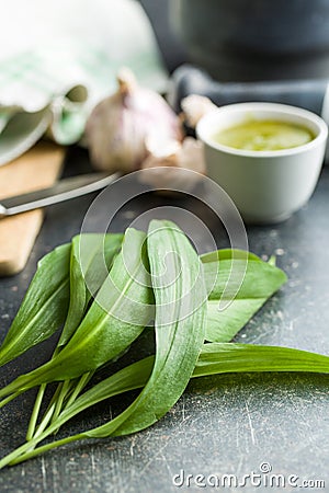 Fresh ramsons leaves. Stock Photo