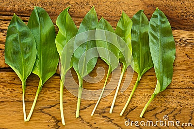 Fresh ramsons on a wooden plate Stock Photo