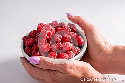 fresh raspberries in a bowl in woman hands, summer harvest fresh berries Stock Photo