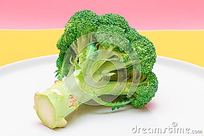 Fresh and Raw Broccoli on White Dish. Uncooked Green Cabbage Stock Photo