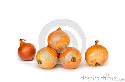 Fresh raw bulbs onion Allium cepa on a white background Stock Photo