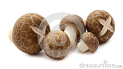 Fresh raw champignon mushrooms isolated on white background. Stock Photo