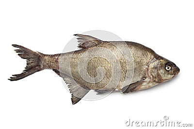 Fresh raw common bream Stock Photo