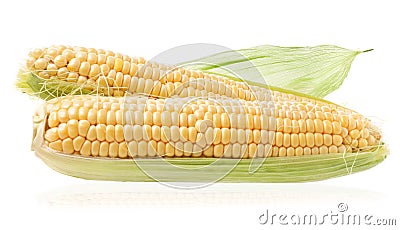 Fresh raw corn cobs Stock Photo