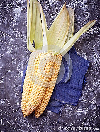 Fresh raw corn on concrete table Stock Photo