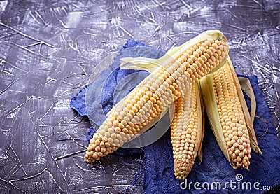 Fresh raw corn on concrete table Stock Photo