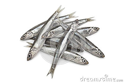 Fresh raw European anchovy Stock Photo