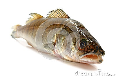 Fresh raw fish Stock Photo
