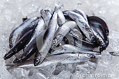 Fresh raw fish anchovy on ice Stock Photo