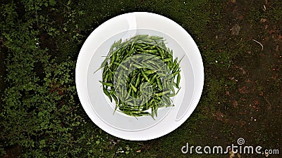 Fresh raw green hot bird eye chilies in white plate Stock Photo