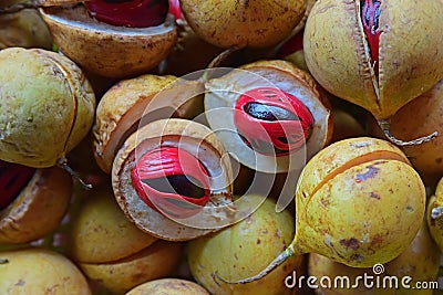 Fresh raw nutmeg Stock Photo