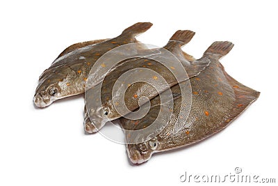 Fresh raw plaice fishes Stock Photo