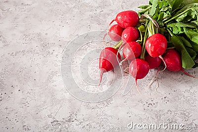 Fresh raw radish on gray background Stock Photo