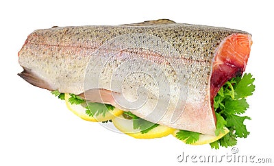 Fresh Raw Rainbow Trout Stock Photo