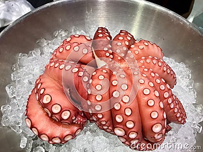 Red Octopus on Ice. Stock Photo