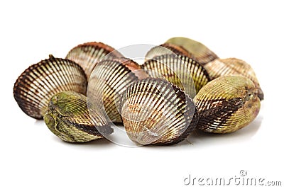 Fresh raw sea cockles clams display for sale Stock Photo