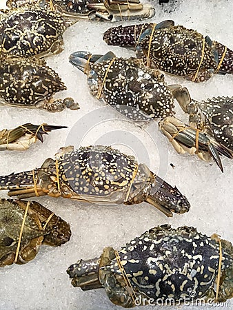 Flower crab on ice table Stock Photo