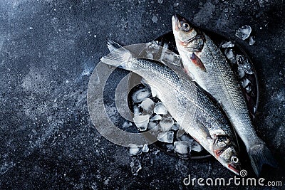 Fresh raw seabass fish on black stone background with ice. Culinary seafood background. Stock Photo